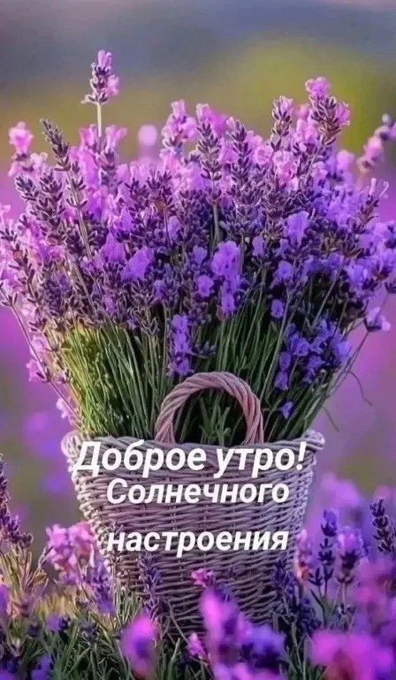 Доброе утро! Солнечного настроения