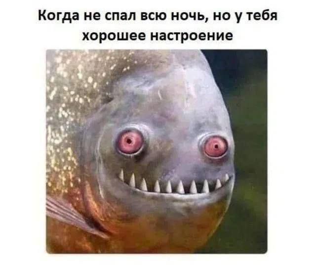 Когда не спал всю ночь, но у тебя хорошее настроение
