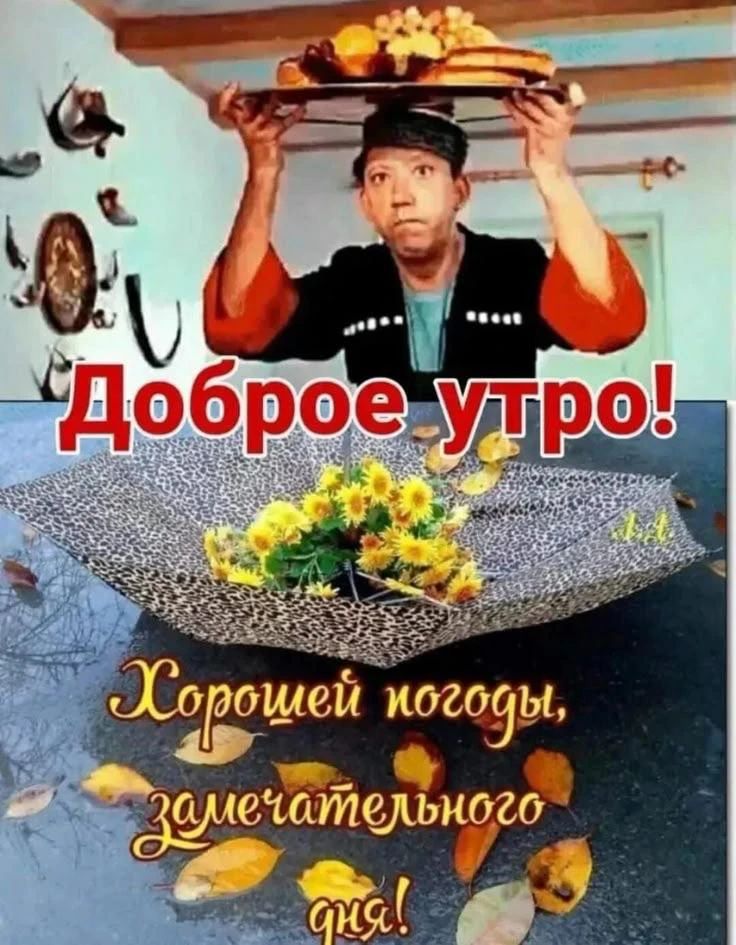 Доброе утро! Хорошей погоды, замечательного дня!