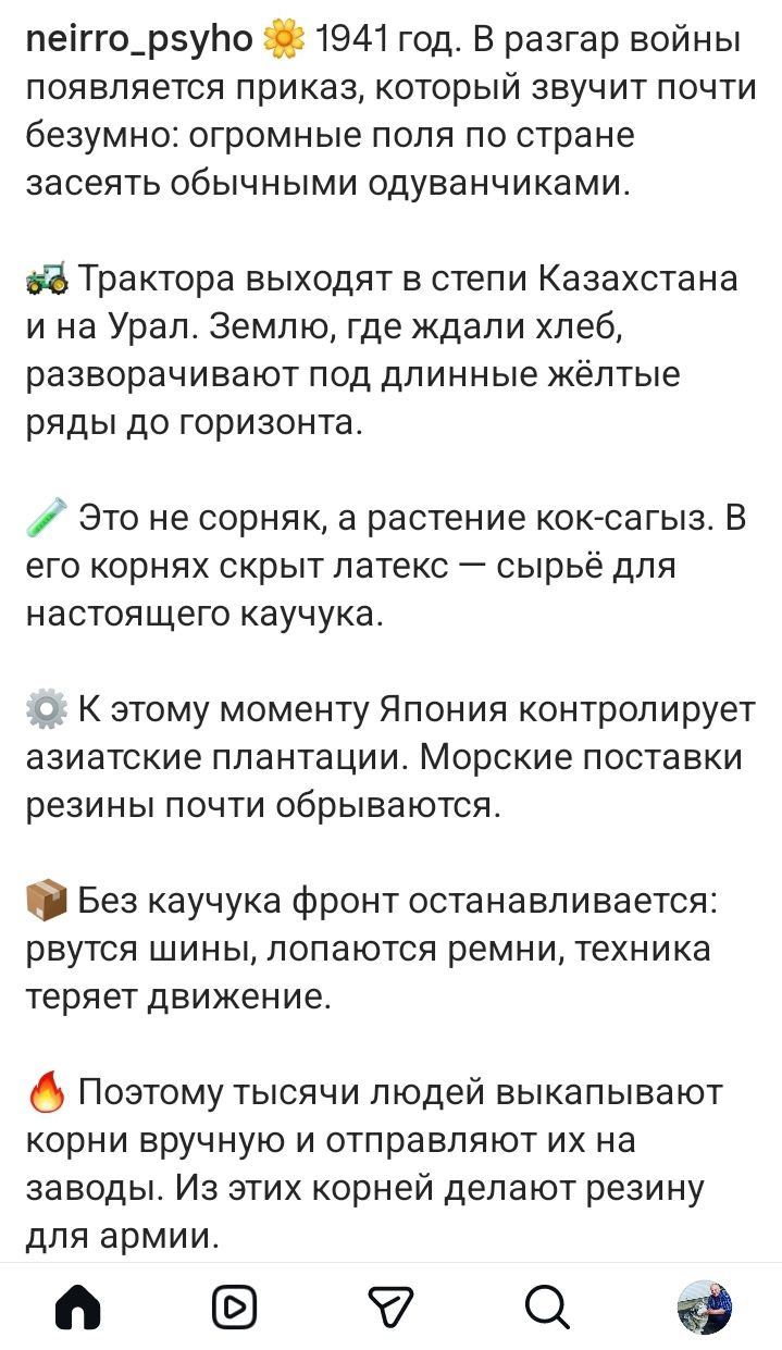 neirro_psyho 1941 год. В разгар войны появляется приказ, который звучит почти безумно: огромные поля по стране засеять обычными одуванчиками. Трактора выходят в степи Казахстана и на Урал. Землю, где ждали хлеб, разворачивают под длинные жёлтые ряды до горизонта. Это не сорняк, а растение кок-сагыз. В его корнях скрыт латекс — сырьё для настоящего