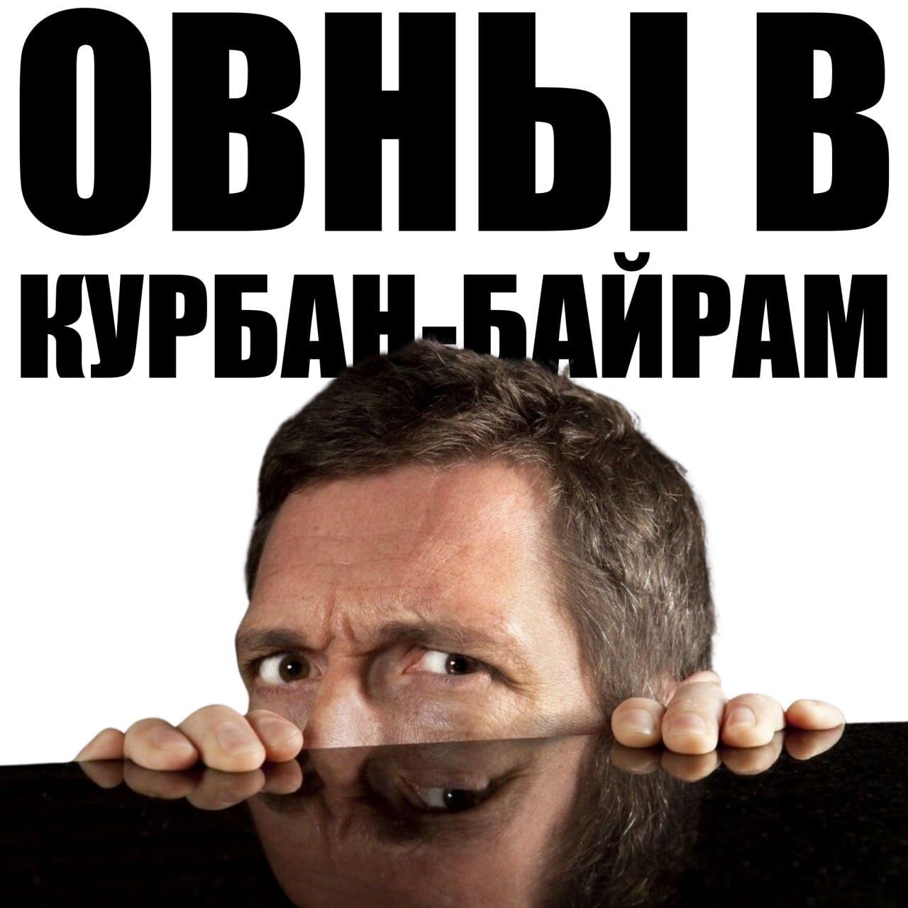 ОВНЫ В КУРБАН-БАЙРАМ