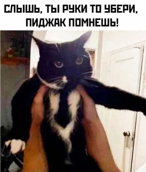 СЛЫШЬ, ТЫ РУКИ ТО УБЕРИ, ПИДЖАК ПОМНЕШЬ!