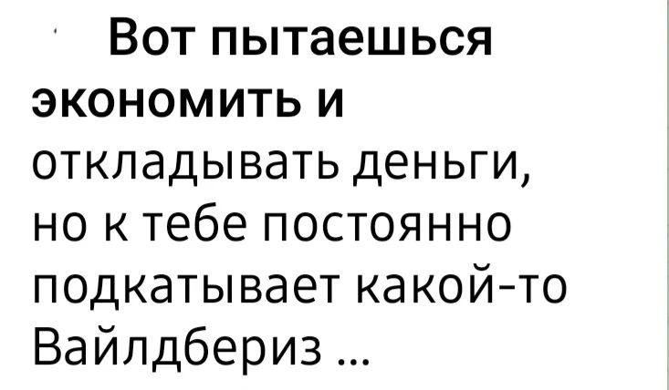 Вот пытаешься экономить и откладывать деньги, но к тебе постоянно подкатывает какой-то Вайлдбериз ...