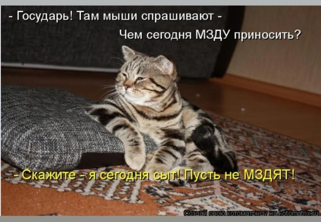 - Государь! Там мыши спрашивают - Чем сегодня МЗДУ приносить? - Скажите - я сегодня сыт! Пусть не МЗДЯТ!