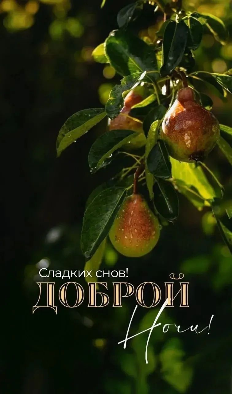 Сладких снов! Доброй ночи!