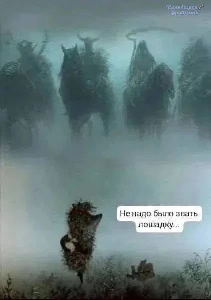 Не надо было звать лошадку...