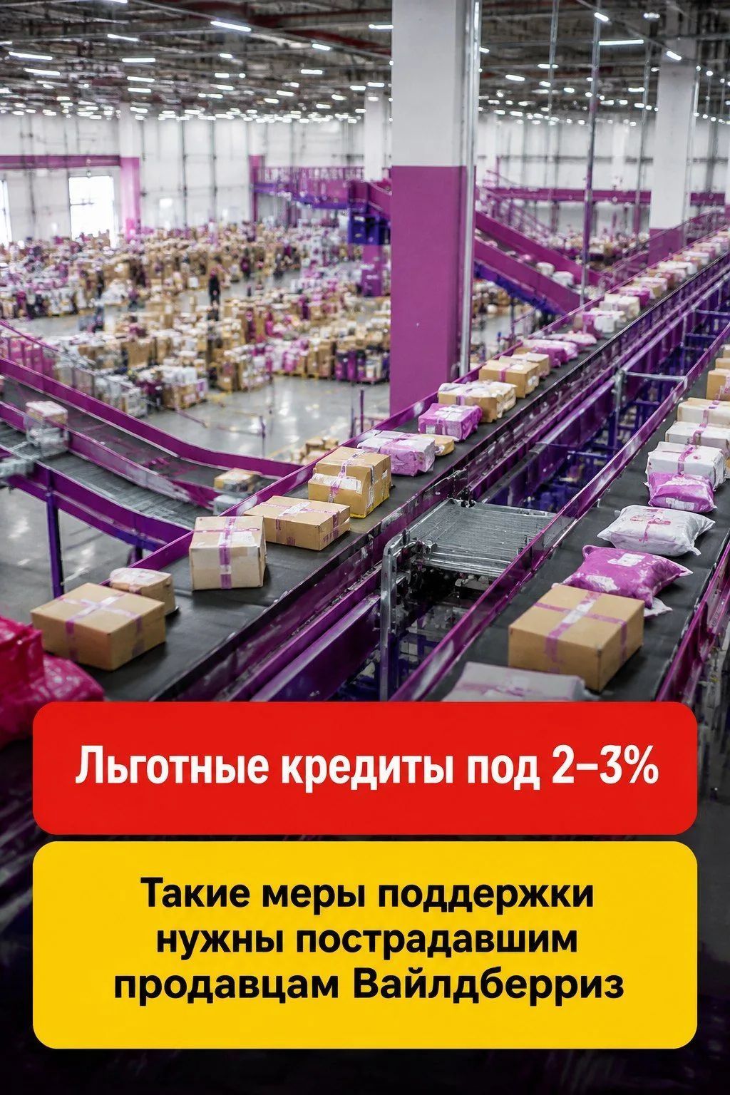 Льготные кредиты под 2-3%. Такие меры поддержки нужны пострадавшим продавцам Вайлдберриз.