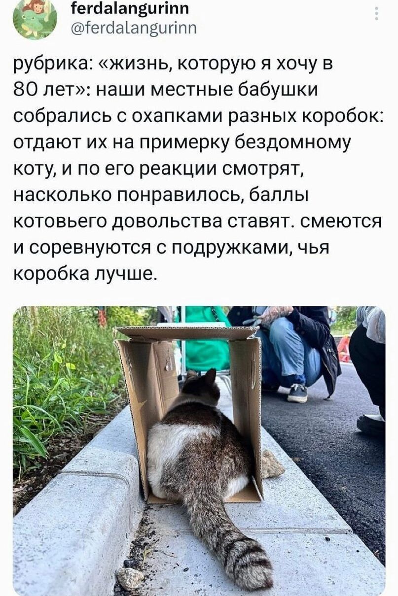 ferdalangurinn @ferdalangurinn рубрика: «жизнь, которую я хочу в 80 лет»: наши местные бабушки собрались с охапками разных коробок: отдают их на примерку бездомному коту, и по его реакции смотрят, насколько понравилось, баллы котовьего довольства ставят. смеются и соревнуются с подружками, чья коробка лучше.