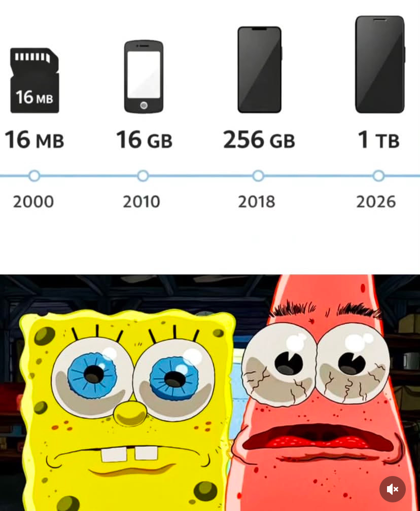 16 MB 2000, 16 GB 2010, 256 GB 2018, 1 TB 2026