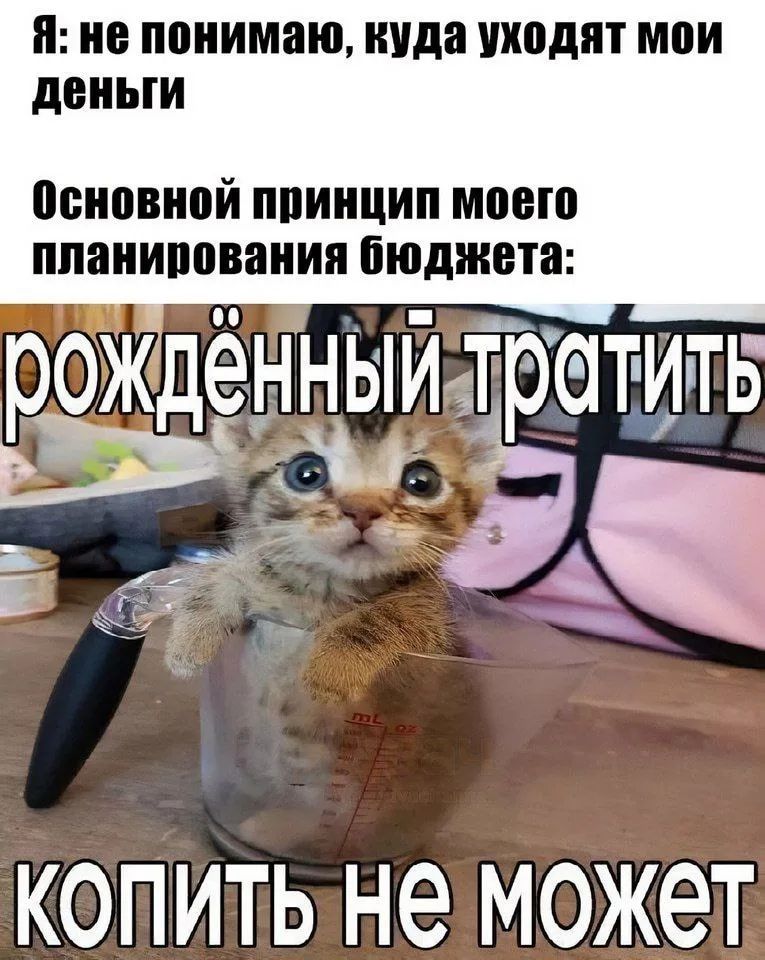 Я: не понимаю, куда уходят мои деньги Основной принцип моего планирования бюджета: рождённый тратить копить не может