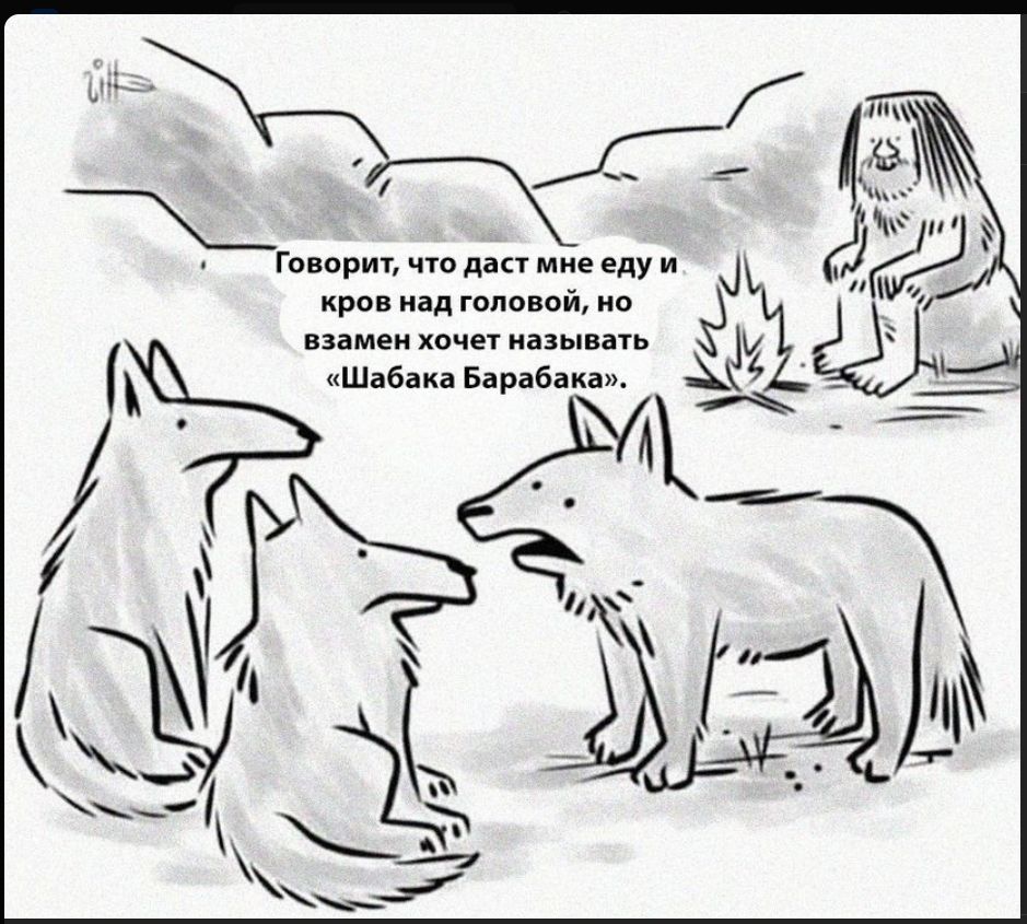 Говорит, что даст мне еду и кров над головой, но взамен хочет называть «Шабака Барабака».