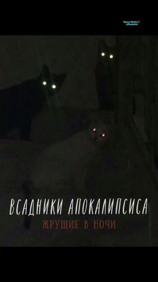 ВСАДНИКИ АПОКАЛИПСИСА ЖРУЩИЕ В НОЧИ Ваша Сова @Vodime