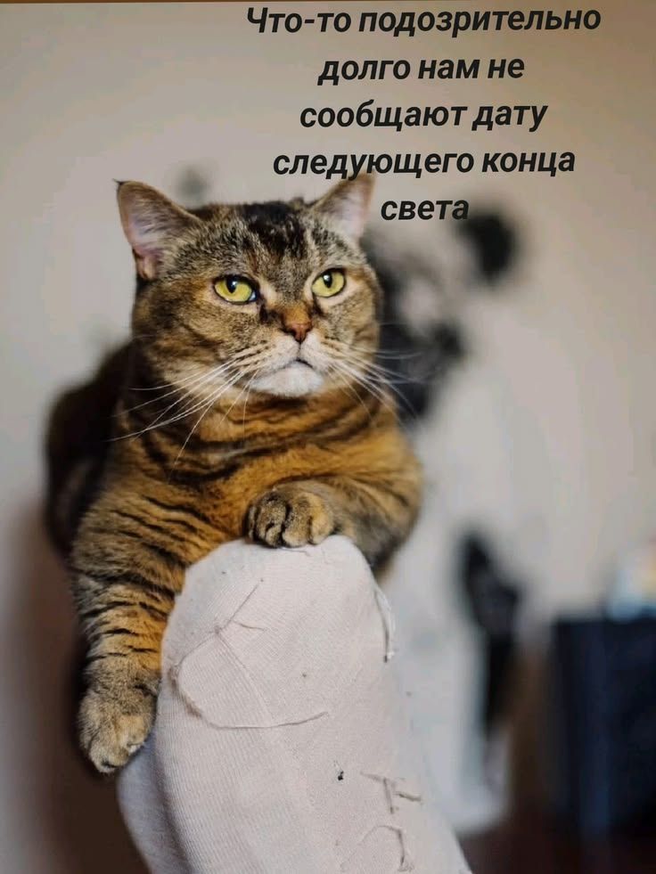 Что-то подозрительно долго нам не сообщают дату следующего конца света