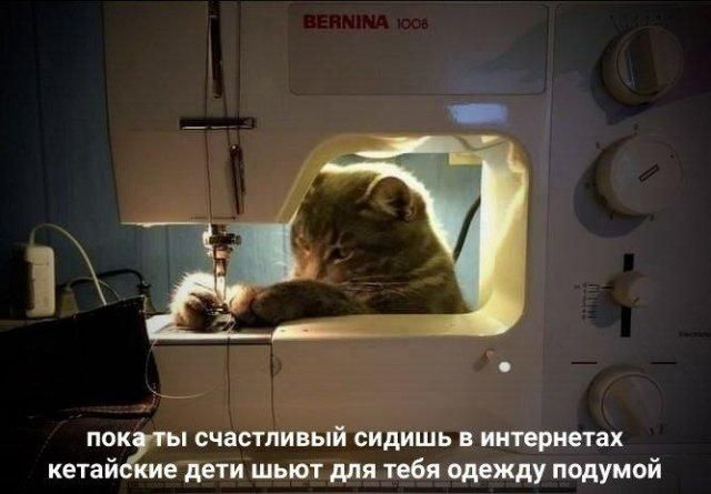 пока ты счастливый сидишь в интернетах китайские дети шьют для тебя одежду подумай