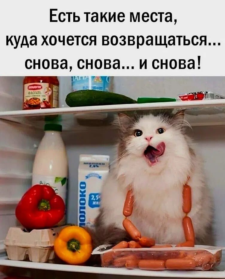 Есть такие места, куда хочется возвращаться... снова, снова... и снова!