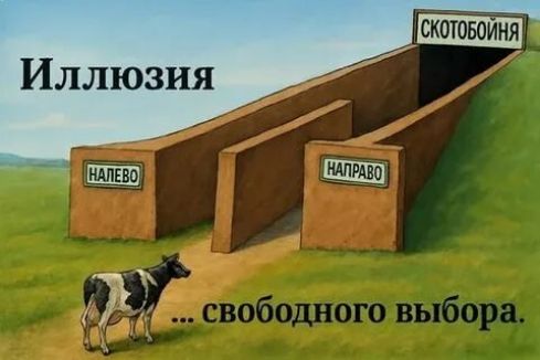 Иллюзия НАЛЕВО НАПРАВО СКОТОБОЙНЯ свободного выбора.