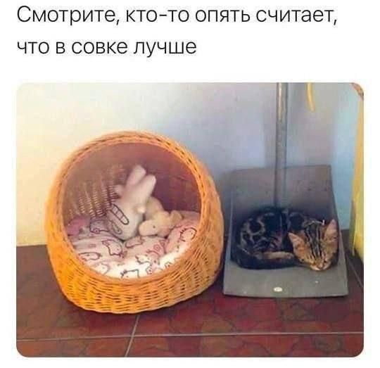 Смотрите, кто-то опять считает, что в совке лучше