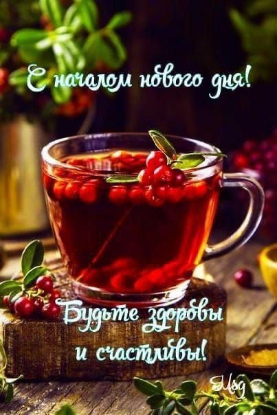 С началом нового дня! Будьте здоровы и счастливы!