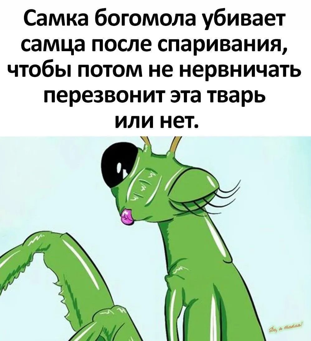 Самка богомола убивает самца после спаривания, чтобы потом не нервничать перезвонит эта тварь или нет.
