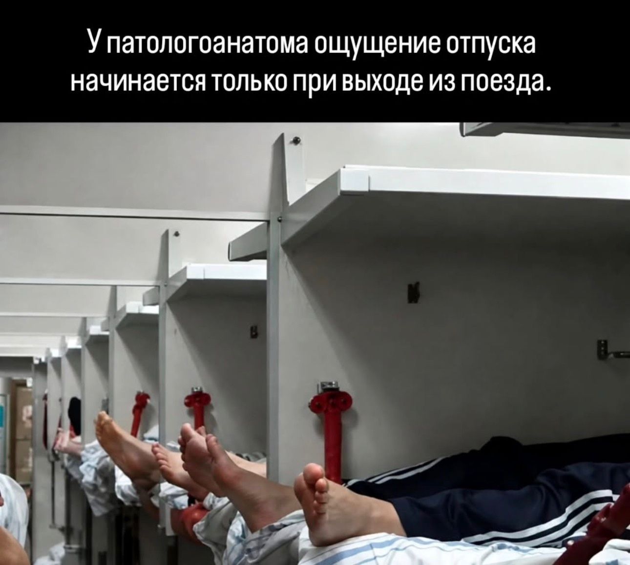 У патологоанатома ощущение отпуска начинается только при выходе из поезда.