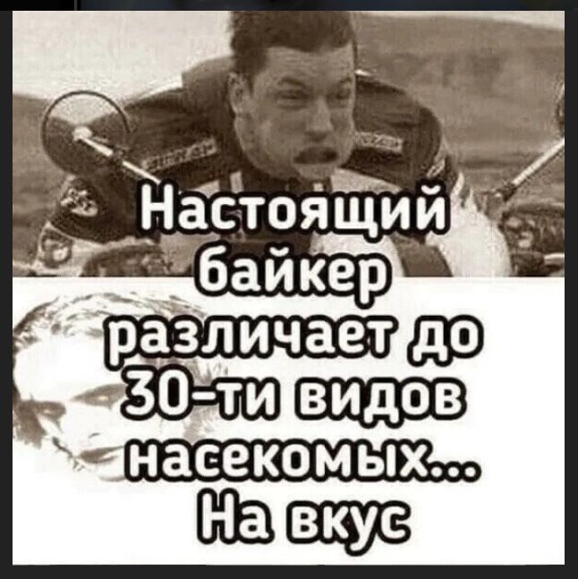 Настоящий байкер различает до 30-ти видов насекомых... На вкус