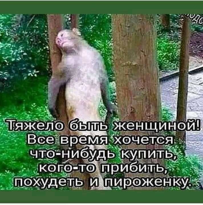 Тяжело быть женщиной! Все время хочется что-нибудь купить, кого-то прибить, похудеть и пироженку.