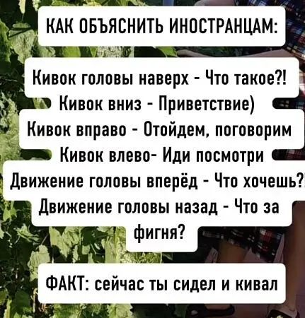 КАК ОБЪЯСНИТЬ ИНОСТРАНЦАМ: Кивок головы наверх - Что такое?! Кивок вниз - Приветствие) Кивок вправо - Отойдем, поговорим Кивок влево- Иди посмотри Движение головы вперёд - Что хочешь? Движение головы назад - Что за фигня? ФАКТ: сейчас ты сидел и кивал