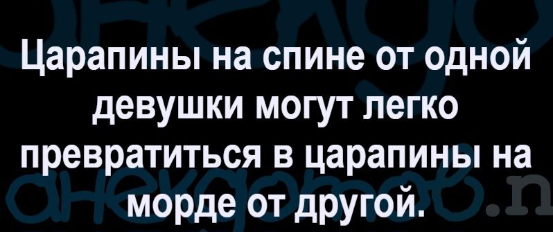 Царапины на спине от одной девушки могут легко превратиться в царапины на морде от другой.
