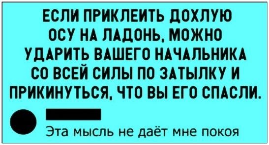 ЕСЛИ ПРИКЛЕИТЬ ДОХЛУЮ ОСУ НА ЛАДОНЬ, МОЖНО УДАРИТЬ ВАШЕГО НАЧАЛЬНИКА СО ВСЕЙ СИЛЫ ПО ЗАТЫЛКУ И ПРИКИНУТЬСЯ, ЧТО ВЫ ЕГО СПАСЛИ. Эта мысль не даёт мне покоя