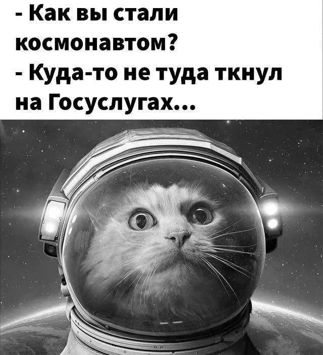 - Как вы стали космонавтом? - Куда-то не туда ткнул на Госуслугах...