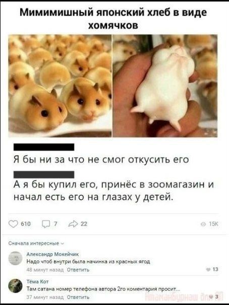 Мимимишный японский хлеб в виде хомячков
Я бы ни за что не смог откусить его
А я бы купил его, принёс в зоомагазин и начал есть его на глазах у детей.
Александр Мокейчик
Надо чтоб внутри была начинка из красных ягод
Тема Кот
Там сатана номер телефона автора 2го комментария просит...