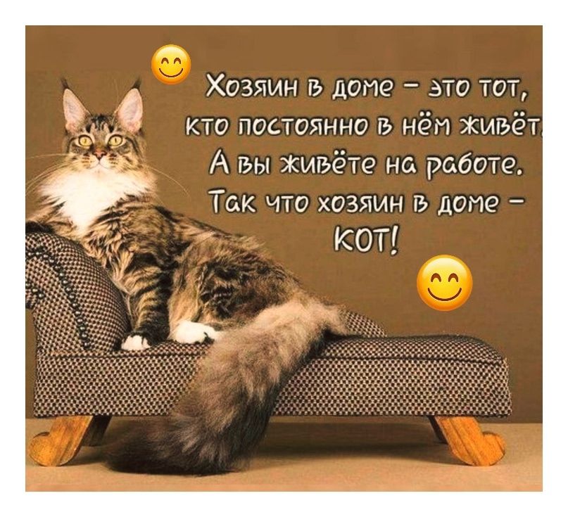 Хозяин в доме – это тот, кто постоянно в нём живёт. А вы живёте на работе. Так что хозяин в доме – КОТ!