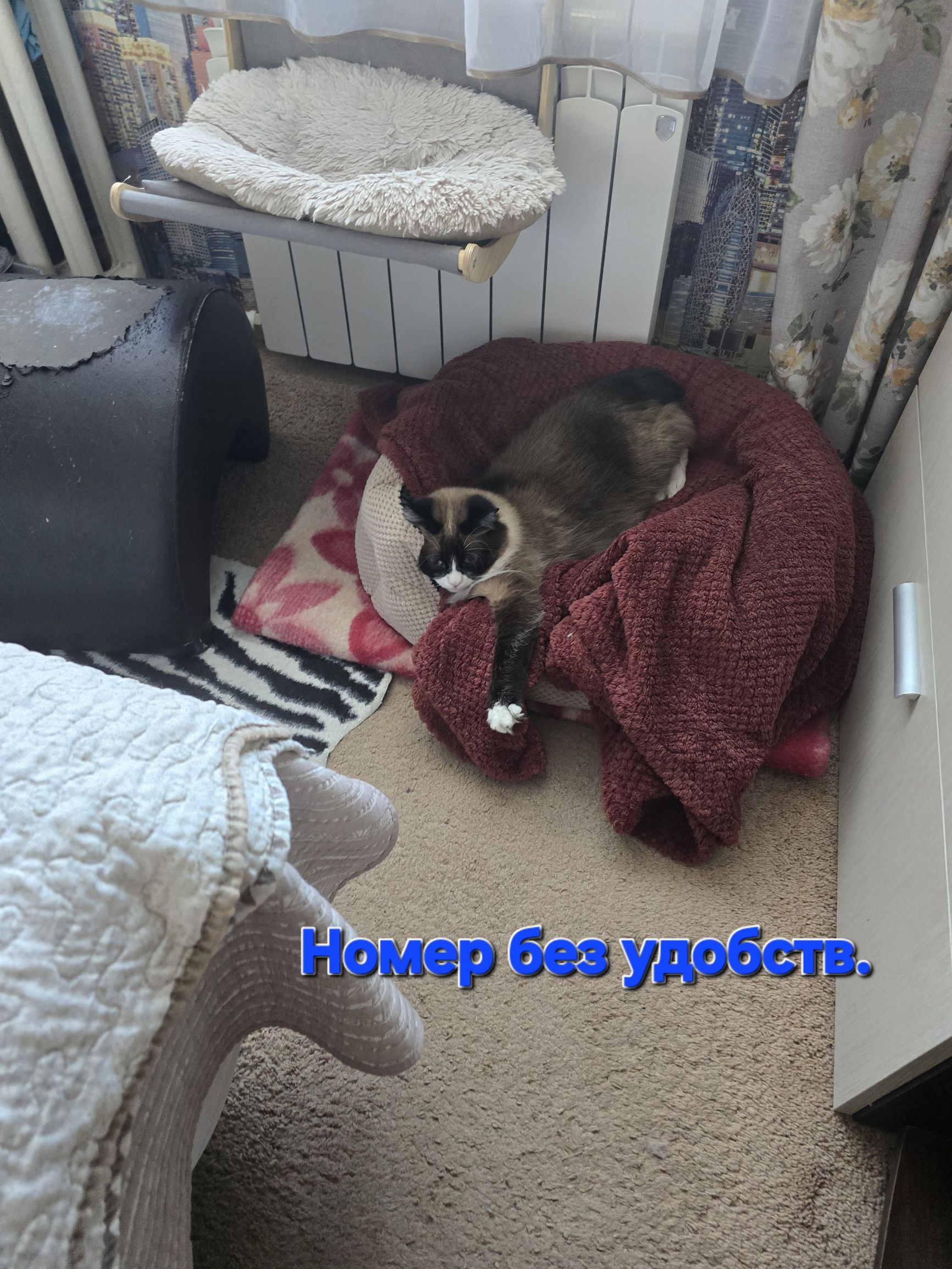 Номер без удобств.