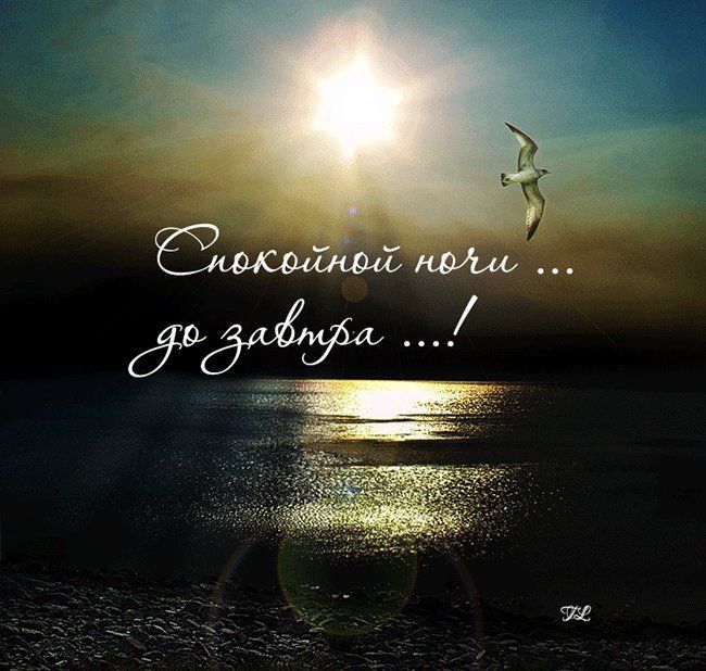 Спокойной ночи ... до завтра ....!
