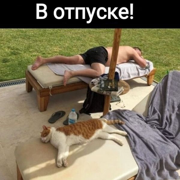 В отпуске!