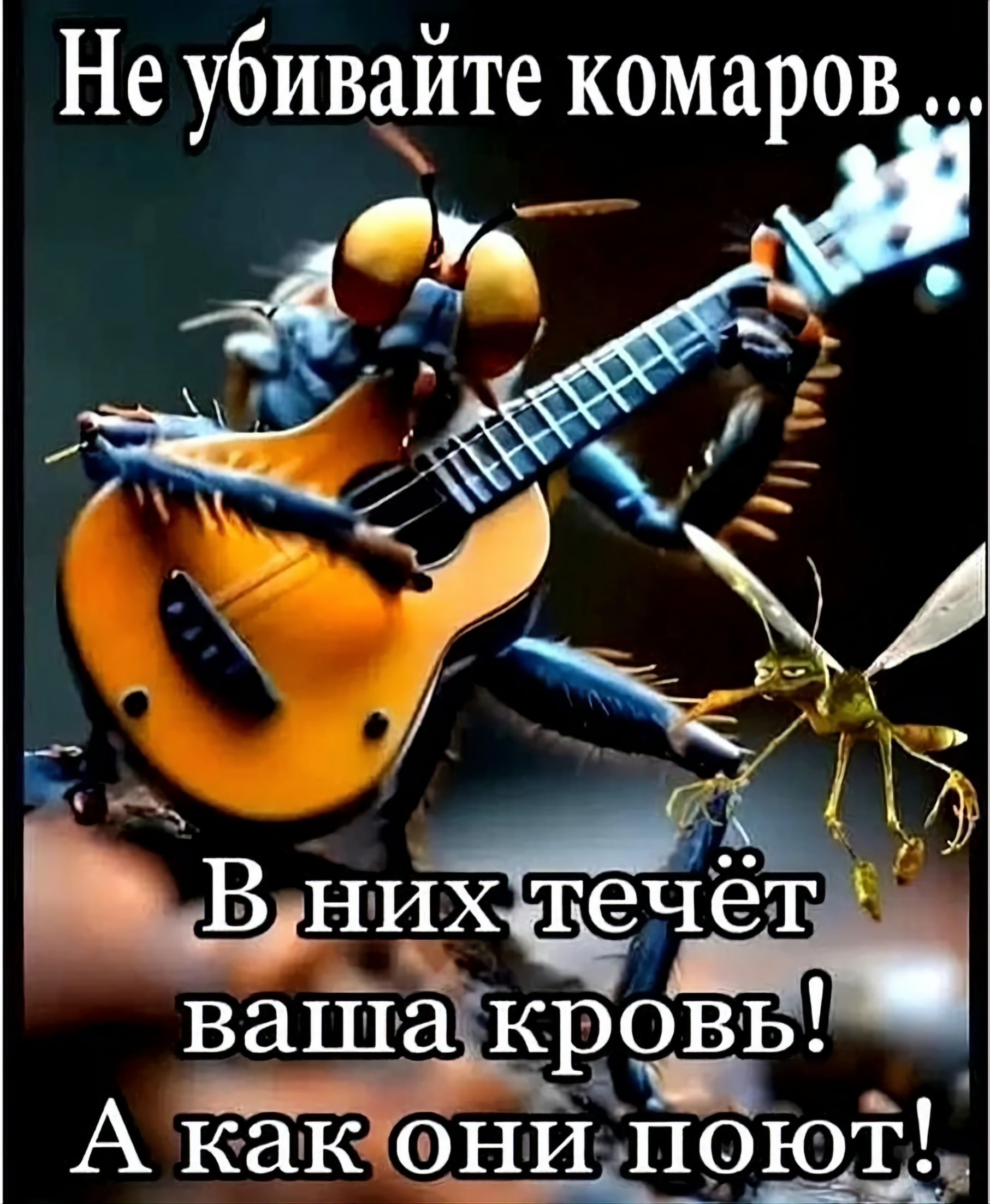 Не убивайте комаров ... В них течёт ваша кровь! А как они поют!