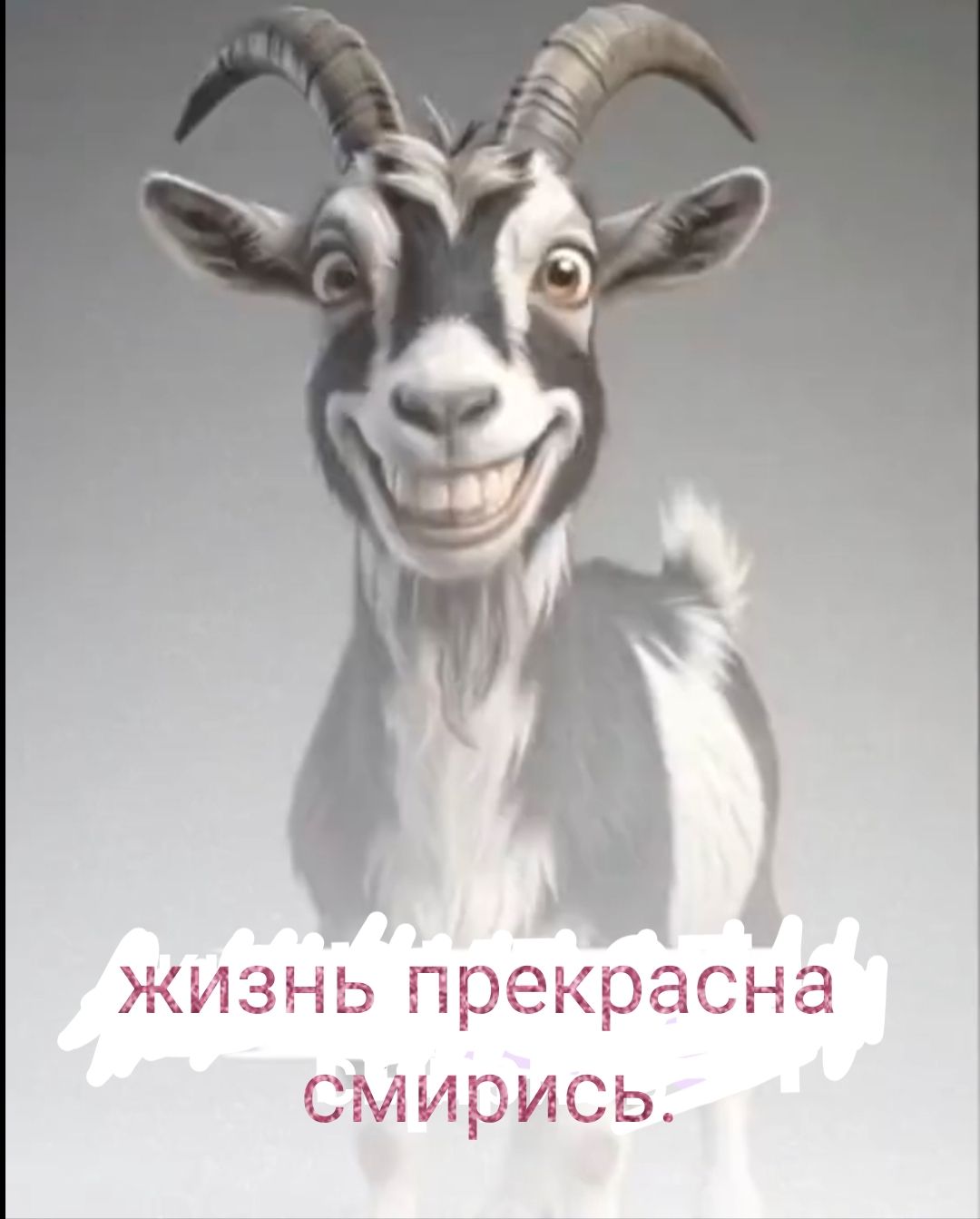 жизнь прекрасна смирись.