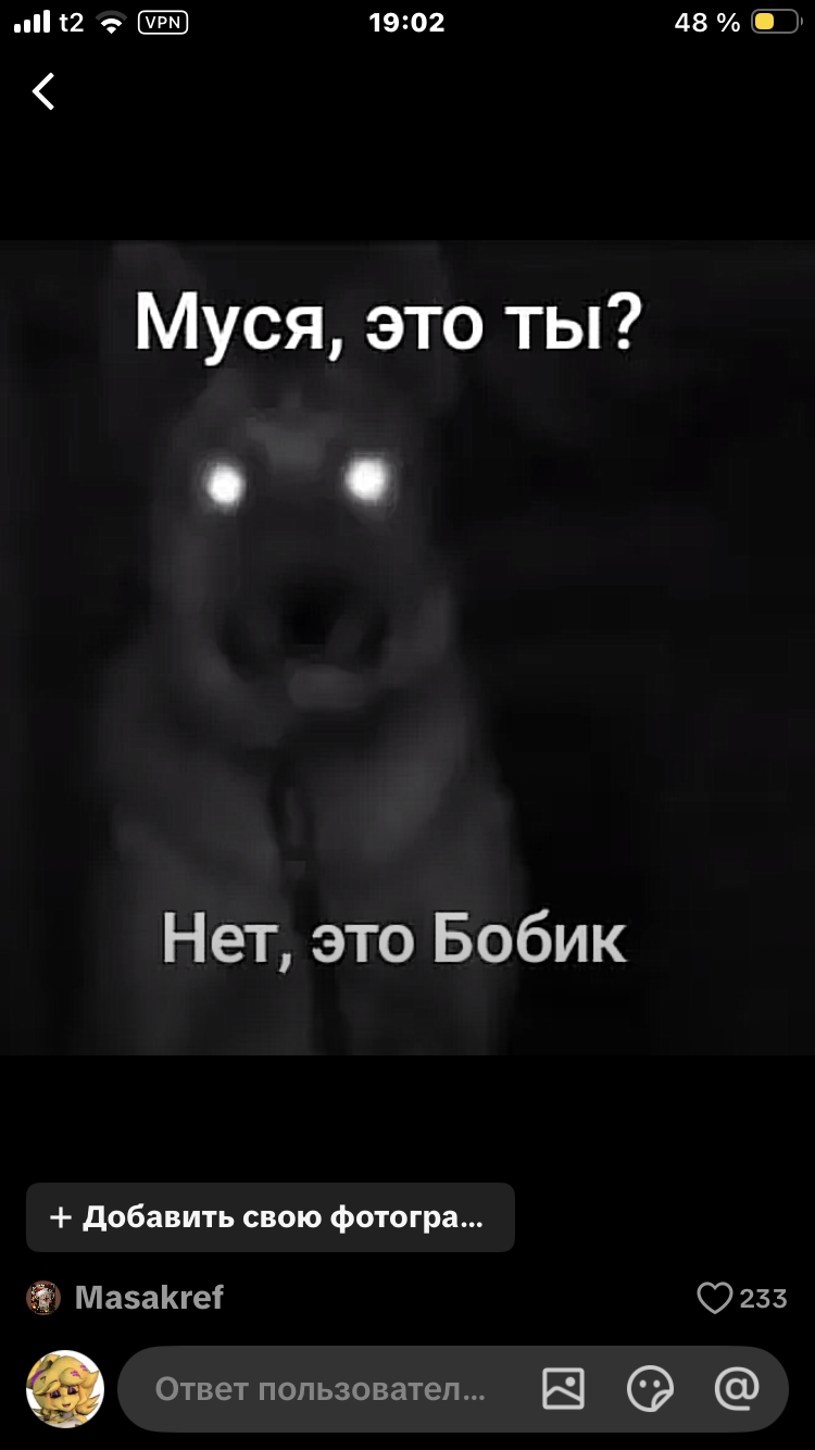 Муся, это ты? Нет, это Бобик