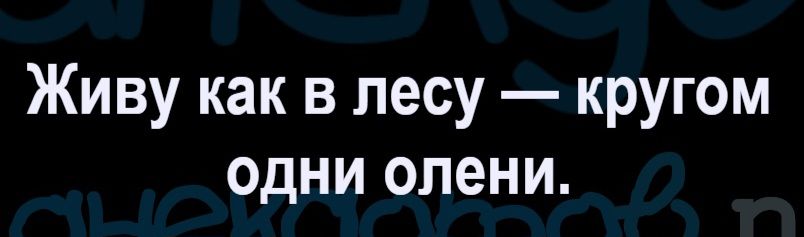 Живу как в лесу — кругом одни олени.