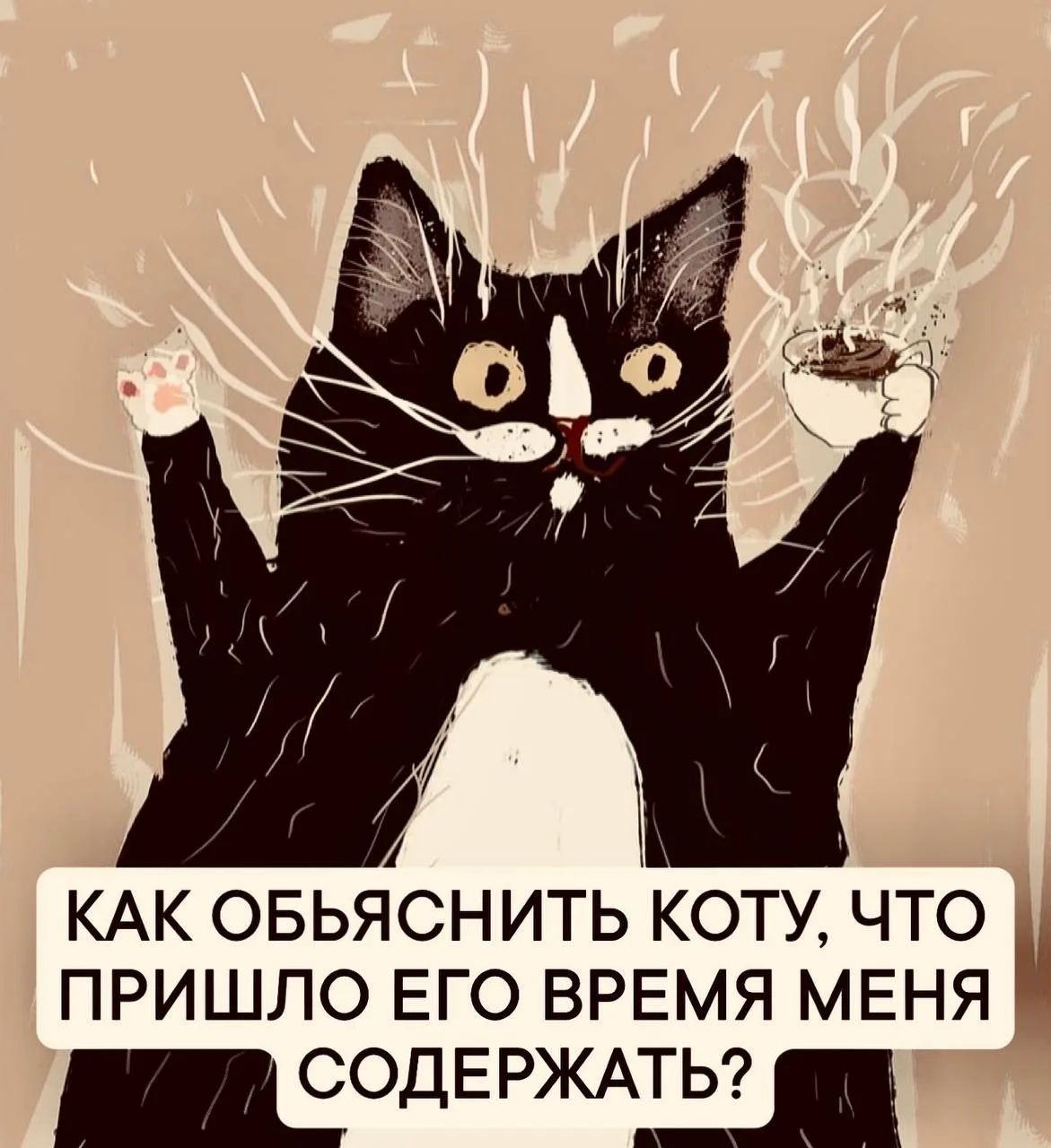КАК ОБЪЯСНИТЬ КОТУ, ЧТО ПРИШЛО ЕГО ВРЕМЯ МЕНЯ СОДЕРЖАТЬ?