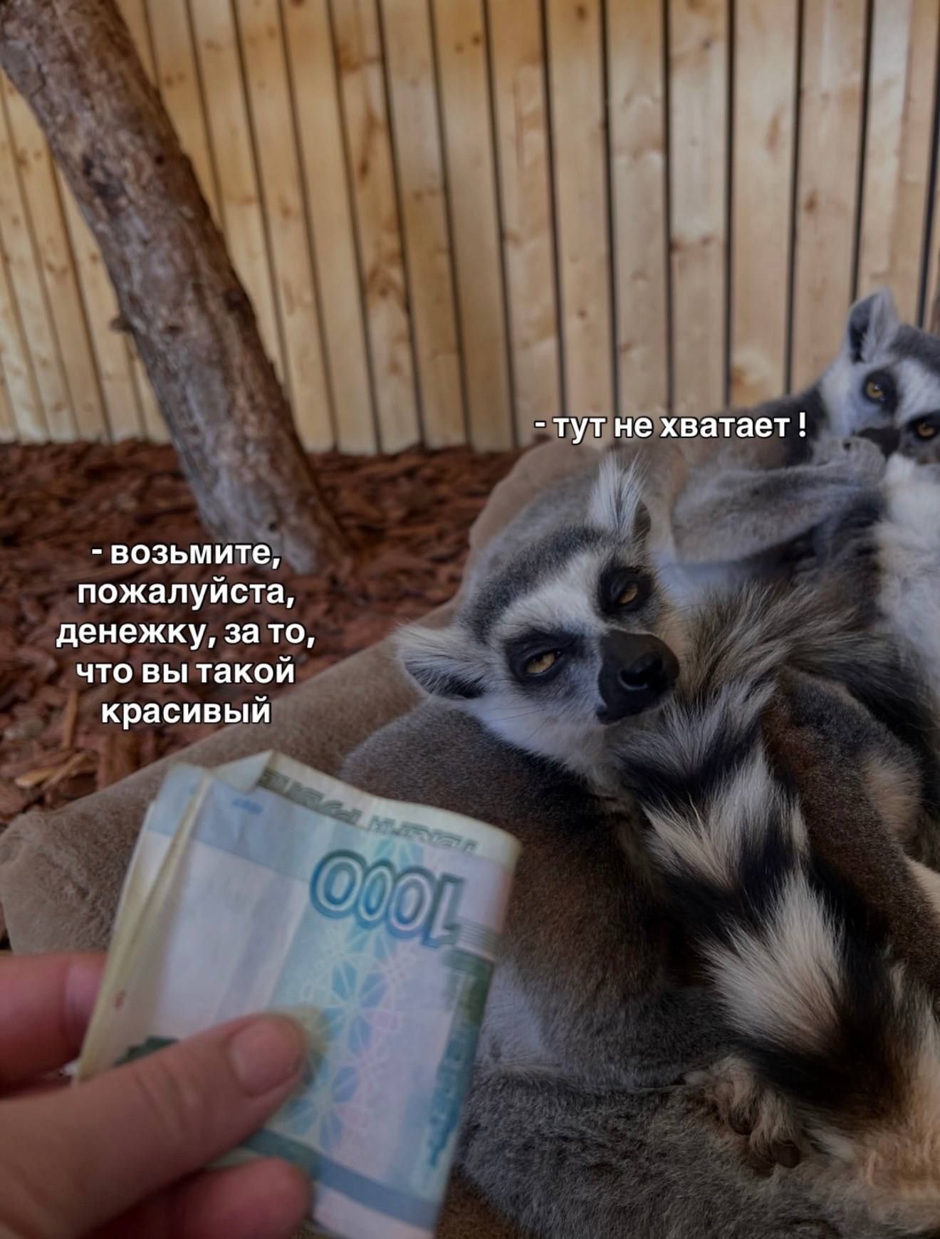- возьмите, пожалуйста, денежку, за то, что вы такой красивый - тут не хватает !