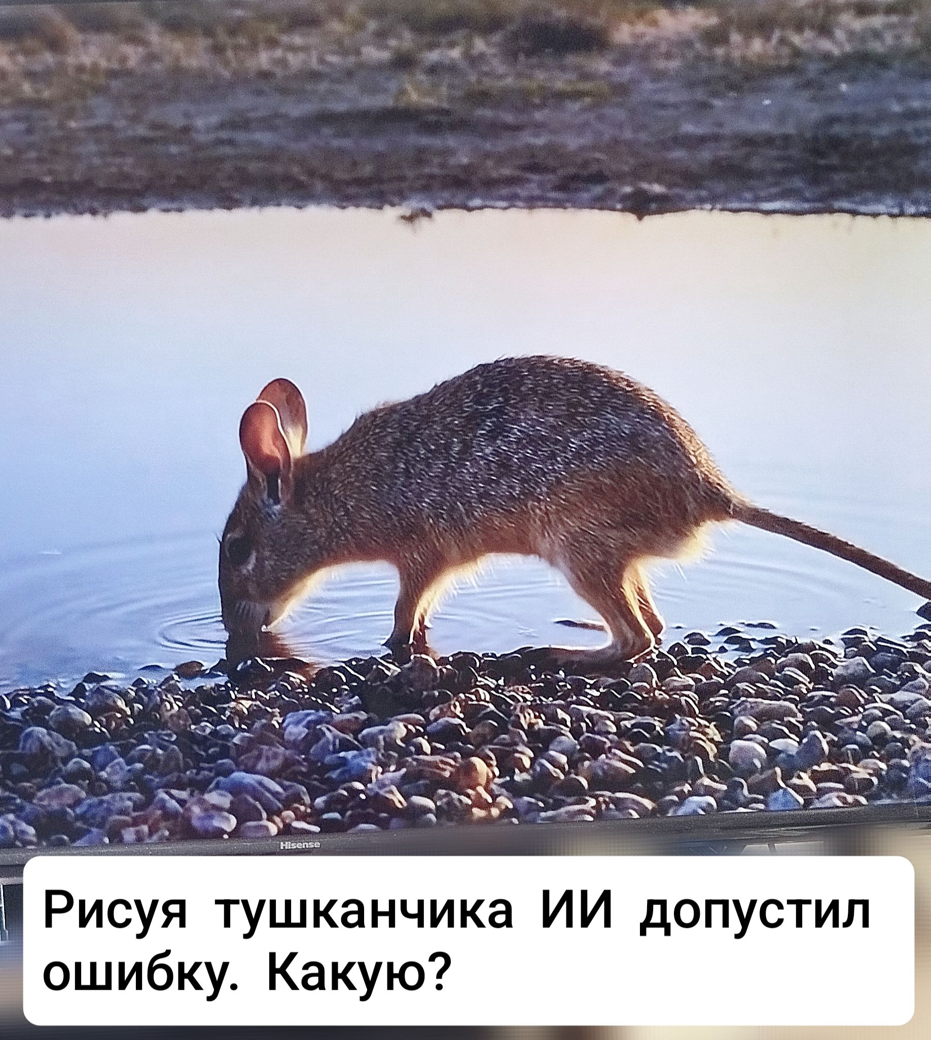 Рисуя тушканчика ИИ допустил ошибку. Какую?