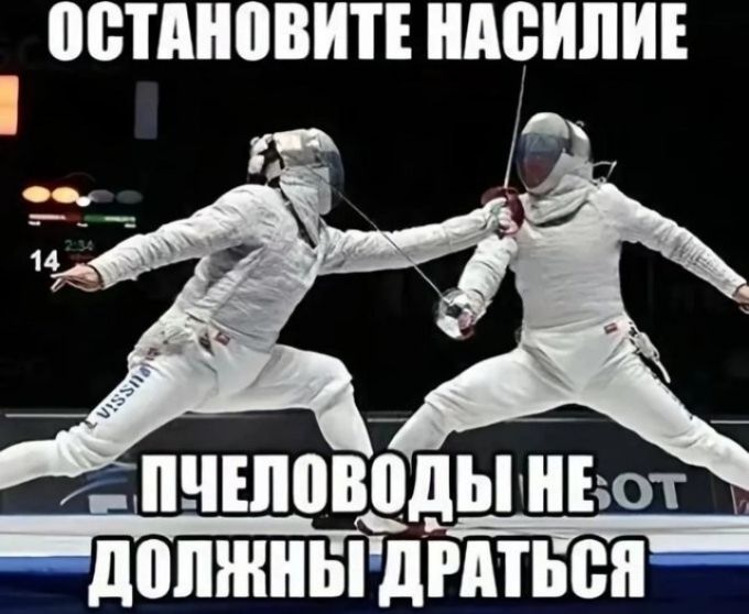 ОСТАНОВИТЕ НАСИЛИЕ ПЧЕЛОВОДЫ НЕ ДОЛЖНЫ ДРАТЬСЯ