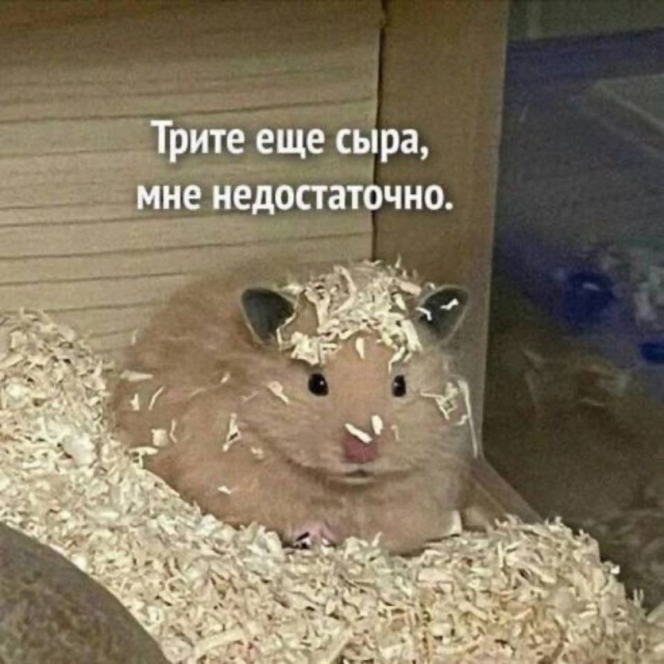 Трите еще сыра, мне недостаточно.