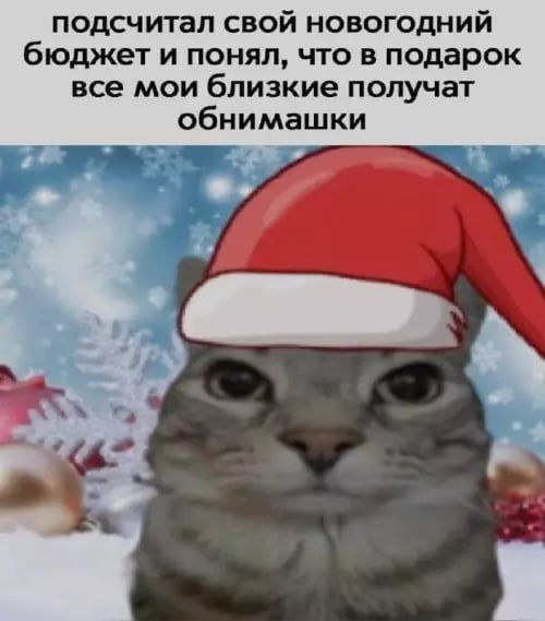 подсчитал свой новогодний бюджет и понял, что в подарок все мои близкие получат обнимашки
