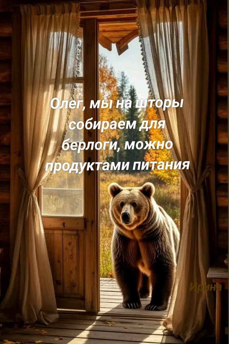 Олег, мы на шторы собираем для берлоги, можно продуктами питания