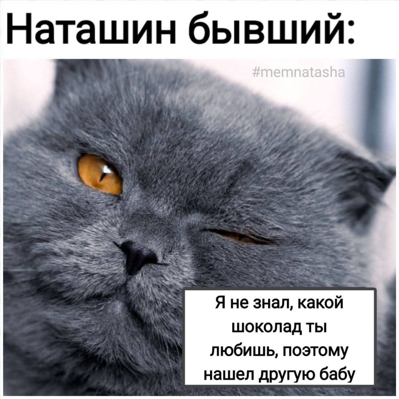 Наташин бывший: #memnatasha Я не знал, какой шоколад ты любишь, поэтому нашел другую бабу