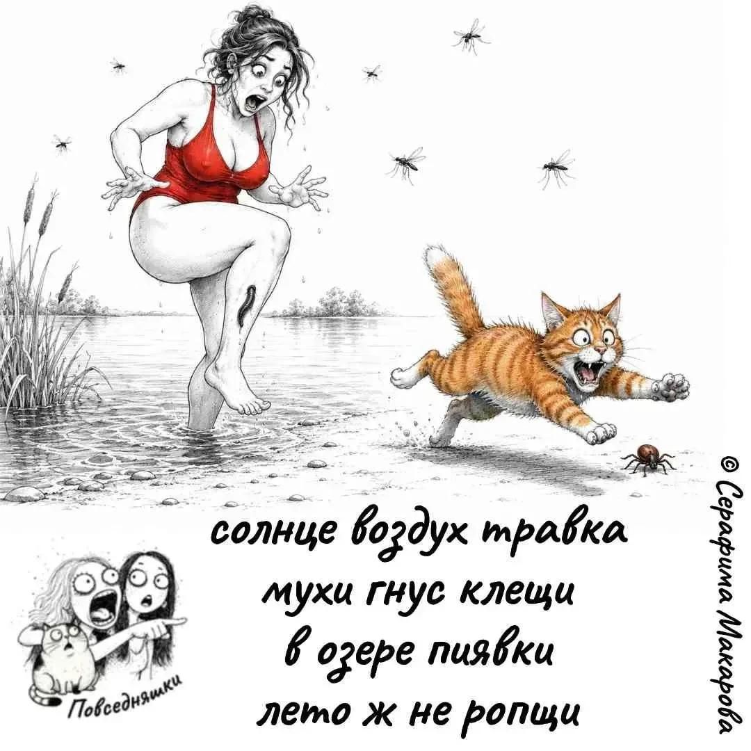 солнце воздух травка мухи гнус клещи в озере пиявки лето ж не ропщи