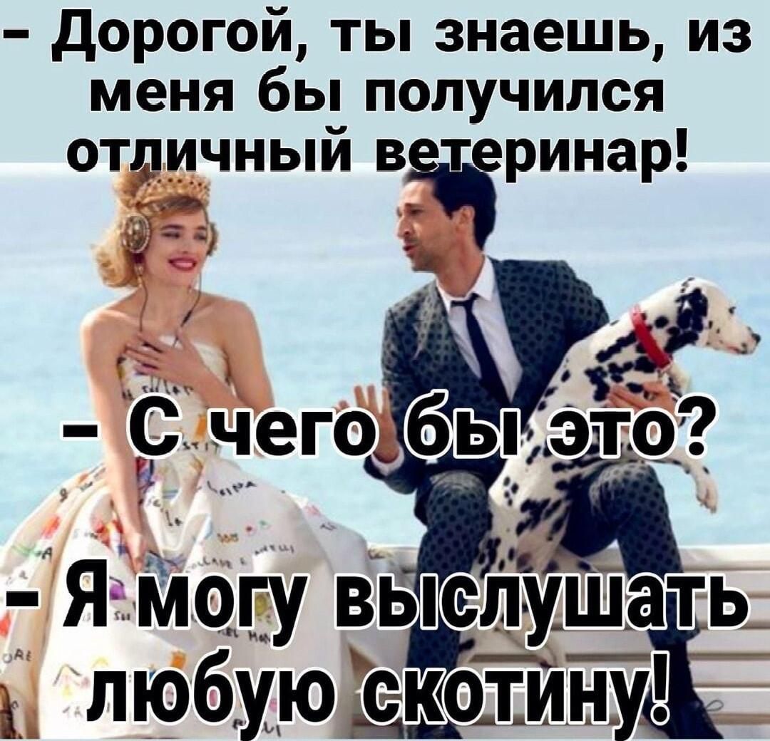 - Дорогой, ты знаешь, из меня бы получился отличный ветеринар! - С чего бы это? - Я могу выслушать любую скотину!