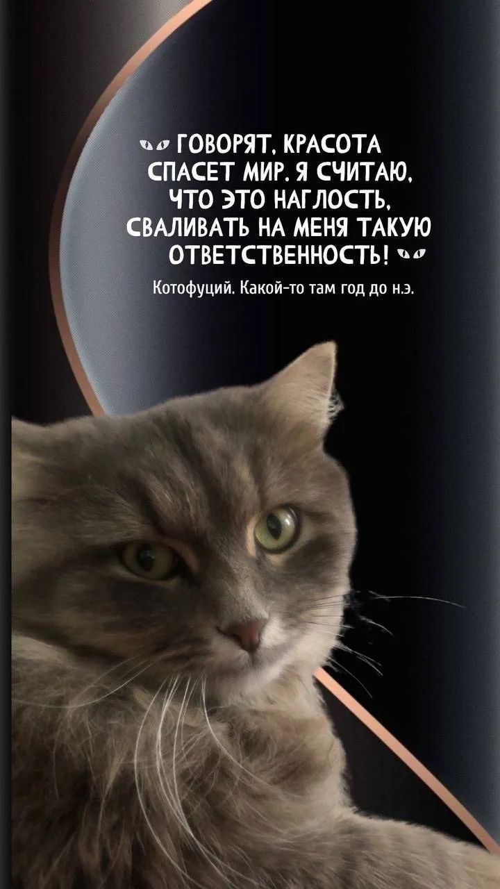 Говорят, красота спасет мир. Я считаю, что это наглость, сваливать на меня такую ответственность! Котофуций. Какой-то там год до н.э.